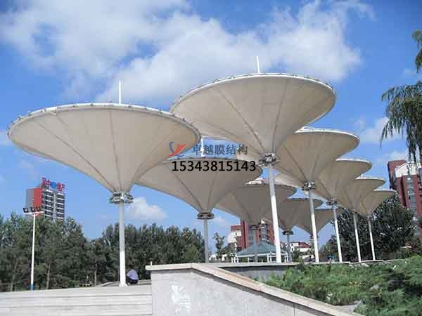 福建PTFE膜結(jié)構【生產(chǎn)廠家】